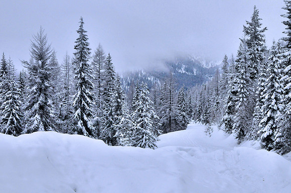Lookout Pass