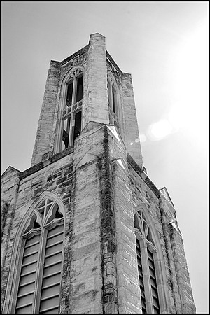 DSC_3845b
