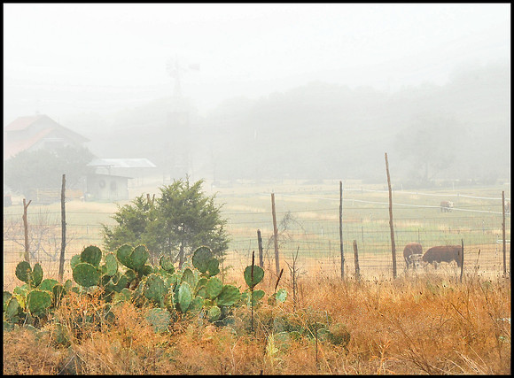 Fog in the valley