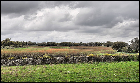 Wimberley Sky