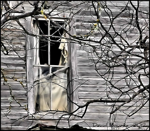 DSC_7690A