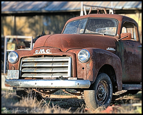 DSC_5822 -1