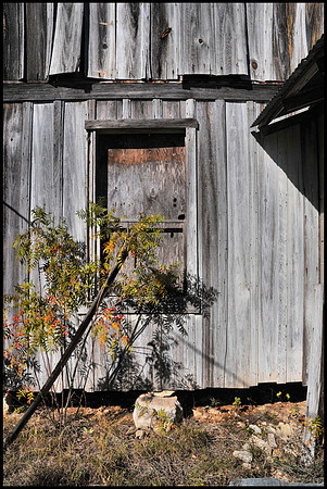 DSC_3671