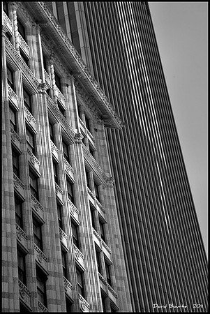 Chicago Contrast