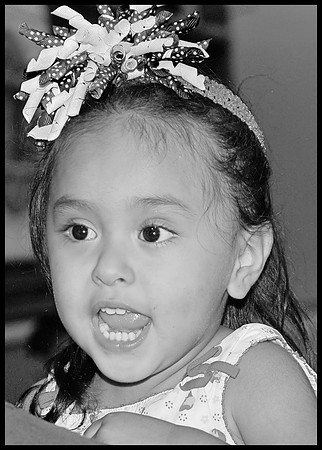 DSC_2647A