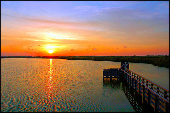 Dock of the bay