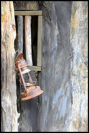 DSC_0775A