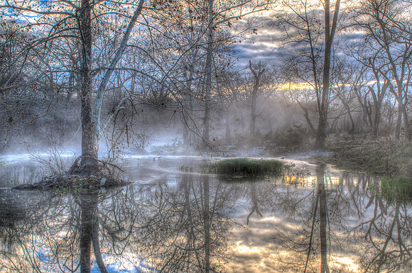 Cypress Creek Fog