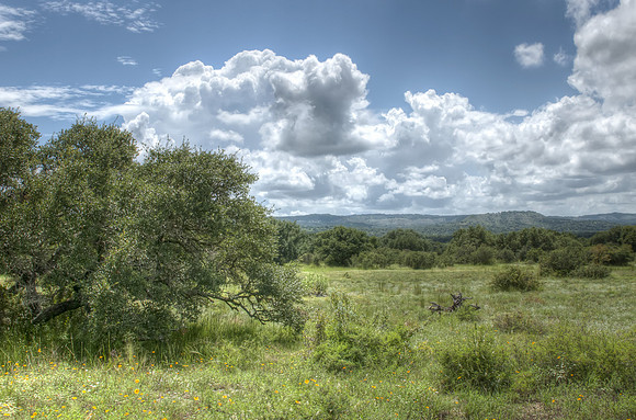 Devils backbone